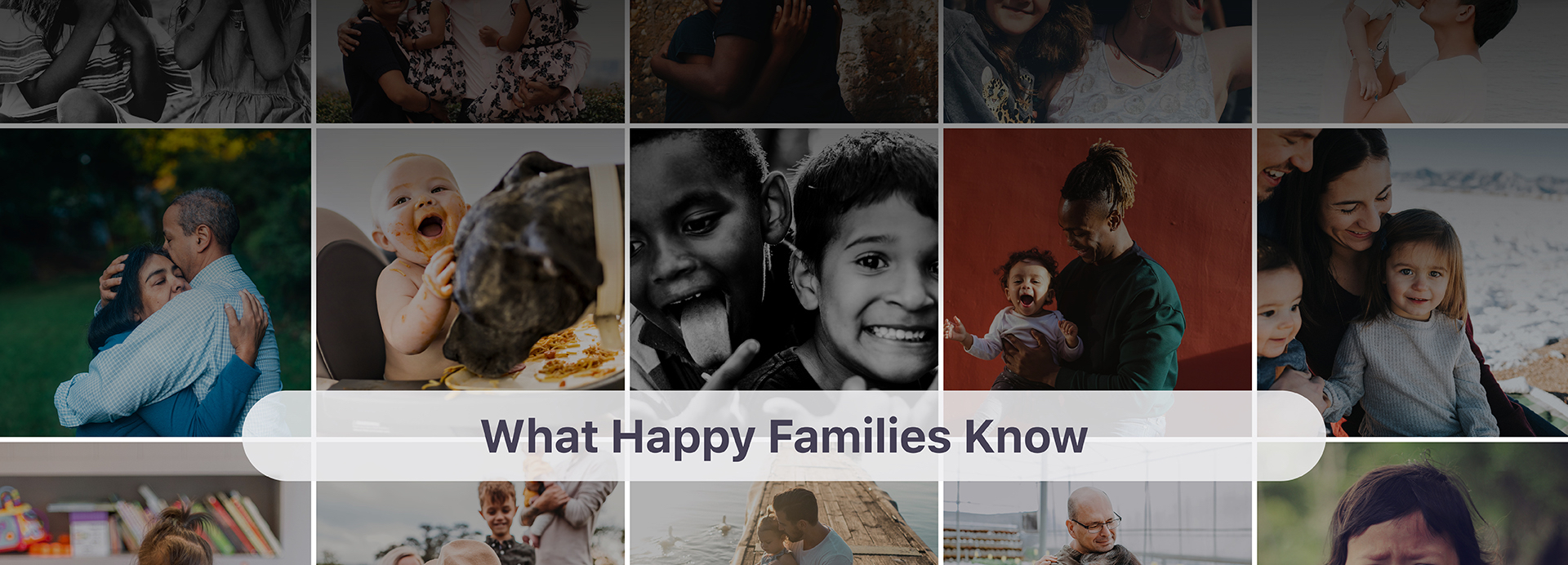 What Happy Families Know